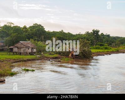 Amazone, Pérou - Mai 2016 : petit village sur la rive de l'Amazone. Amazonie. Amérique du Sud. Banque D'Images