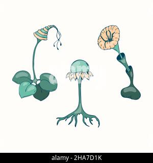 Des champignons fantastiques et irréalistes, dessinant à la main, sur fond blanc et isolé.Illustration vectorielle Illustration de Vecteur