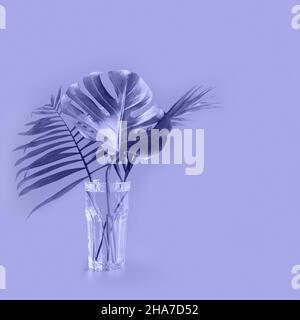 Monstera et feuilles de palmier en verre sur fond très péri.Concept et maquette minimale.Couleur tendance de l'année 2022. Banque D'Images