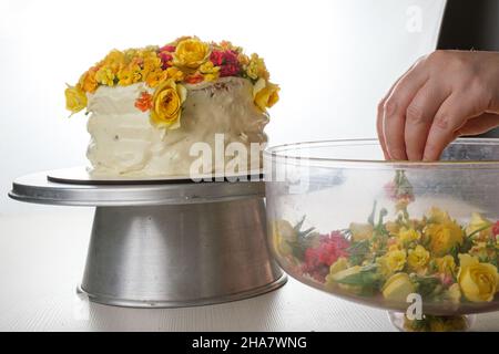 Photo clé, gâteau à la vanille décoré de fleurs jaunes par un boulanger (vue latérale). Banque D'Images