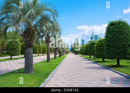 Batumi, Géorgie - 06 août 2018 : usage éditorial uniquement.Le parc Batumi en été ensoleillé. Banque D'Images