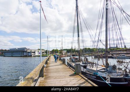 Roskilde: marina, Roskilde Fjord, à Roskilde, ZELANDE, Sealand,Sjaelland, Danemark Banque D'Images