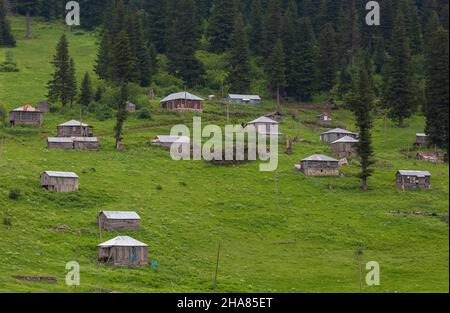 Situé dans la province de Giresun, Gölyanı Plateau a un lac offrant une vue authentique avec ses maisons en bois. Banque D'Images