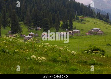 Situé dans la province de Giresun, Gölyanı Plateau a un lac offrant une vue authentique avec ses maisons en bois. Banque D'Images