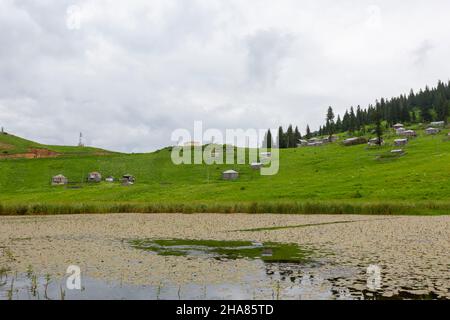 Situé dans la province de Giresun, Gölyanı Plateau a un lac offrant une vue authentique avec ses maisons en bois. Banque D'Images