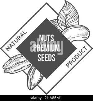 Produits naturels et biologiques de noix et de graines, qualité supérieure des ingrédients gras pour une alimentation équilibrée.Menu végétarien et végétalien, esquisse monochrome o Illustration de Vecteur