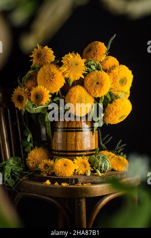 Encore la vie de beaux tournesols décoratifs dans un vase sur une chaise sur un fond noir avec bokeh de verdure avec l'effet du grain de film Banque D'Images