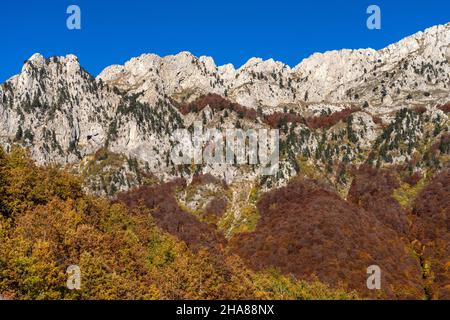 Herbstliche Gebirgslandschaft beim Durmitor Nationalpark, Montenegr, Europa | Paysage de montagne près du Parc National de Durmitor en automne, Montenegr Banque D'Images