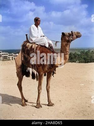 1920s 1930s EGYPTIEN ASSIS SUR Une CIRCONSCRIPTION DROMADAIRE TOURISTIQUE CAMELUS dromedarius AVEC FRINGEDSADDLE GIZA LE CAIRE EGYPTE - q364cHAR001 HARS TIME OFF CAMEL RIDER AVENTURE GIZA ESCAPADE EXCITATION VACANCES TOURISTIQUES OCCUPATIONS CRÉATURE FRINGED GENRE MAMMIFÈRES RESORTS UNGULATE VACANCESHAR001 MOYEN-ORIENT MOYEN-ORIENT AFRIQUE DU NORD AFRIQUE DU NORD VOYAGE À L'ANCIENNE AFRIQUE DU NORD Banque D'Images