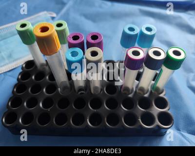 Tubes de laboratoire vides triés par couleur Banque D'Images