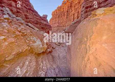 Upper Cathedral Wash dans la zone de loisirs de Glen Canyon Arizona.Ce chemin mène aux falaises de Vermilion. Banque D'Images