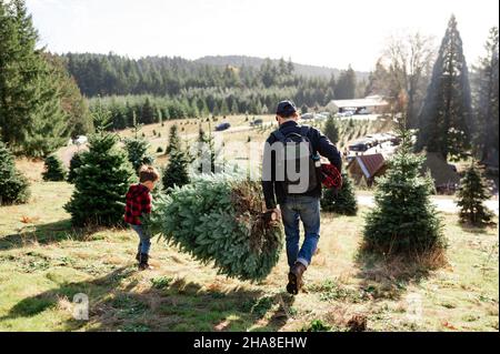 Père et fils portant arbre de noël fraîchement coupé Banque D'Images