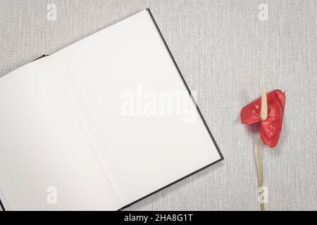 Livre ouvert sur un espace de travail.Pages blanches pour inscriptions. Banque D'Images