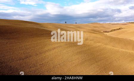 Toscane colorée - la vue typique sur les champs ruraux du désert d'Acconia Banque D'Images