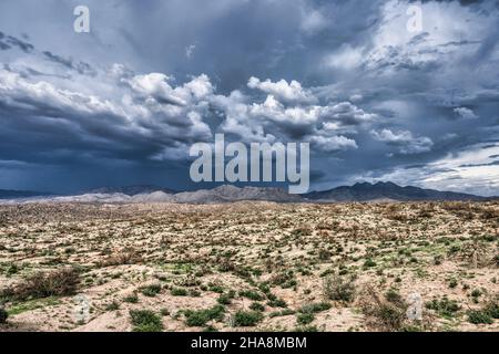 Vue sur le désert de Sonoran près de Phoenix, Arizona. Banque D'Images