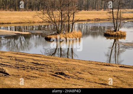 La rive du lac pendant les inondations printanières et les hautes eaux par une journée ensoleillée.Eau. Banque D'Images