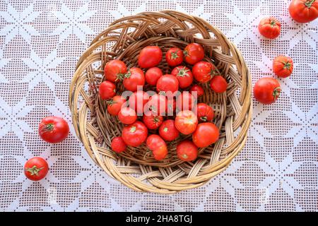 Les tomates fraîchement cueillies apparaissent dans un panier en osier. Le panier et les autres tomates sont sur une couverture de laçage blanche. La photo est en gros plan et t Banque D'Images