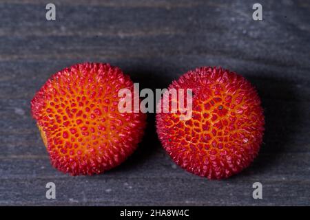 Fruits rouges mûrs de l'arbutus unedo à la fin de l'automne Banque D'Images