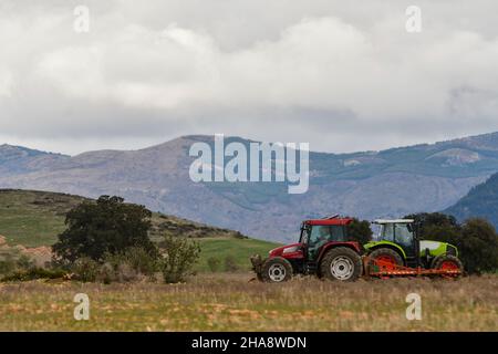 Tracteur en activité agricole dans le champ Banque D'Images