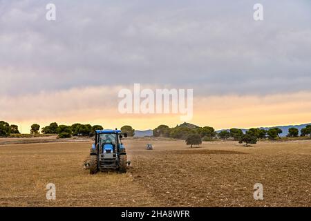 Tracteur en activité agricole dans le champ Banque D'Images