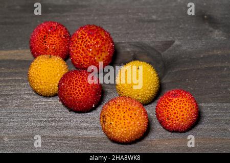 Fruits rouges et jaunes mûrs de l'arbutus unedo à la fin de l'automne Banque D'Images