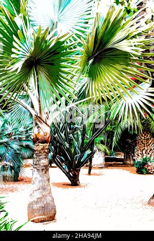 Illustration.Magnifique jardin tropical avec différents types de palmiers et cactus le jardin Majorelle.Marrakech, Maroc Banque D'Images