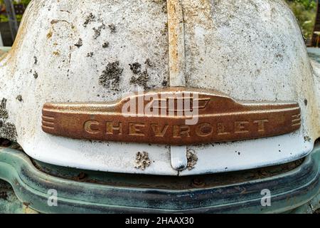 La plaque signalétique rouillée sur le capot d'un ancien camion blanc de Chevrolet dans un chantier naval de l'Idaho, aux États-Unis Banque D'Images