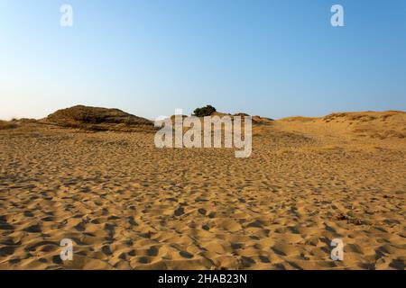 Dunes de sable à la plage d'Issos, Corfou, Grèce Banque D'Images