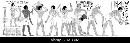 Construction du temple d'Amun.De la chapelle funéraire d'Abd-el-QA (selon Lepsius), , (livre d'histoire culturelle, 1892), Bau des Amuntempels.AUS der Grabkapelle zu Abd-el-QA (Nach Lepsius) , Construction du temple d'Amon.De la chapelle funéraire d'Abd-el-QA (d'après Lepsius) Banque D'Images