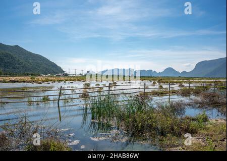 Parc national Sam Roi Yot au sud de Hua Hin à Prachuap Khiri Khan, Thaïlande fin novembre 2021 Banque D'Images