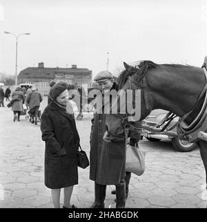 Varsovie, 1969-10-01.Konie na targu ¿ywnoœci W Warszawie.NZ.³eb konia. mb PAP/Boles³aw Miedza Dok³adny dzieñ wydarzenia nieustalony.Varsovie, le 1 octobre 1969.Chevaux sur un marché alimentaire à Varsovie.Photo : tête de cheval. mb PAP/Boleslaw Miedza Banque D'Images