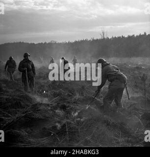 Kotlarnia, 1969-11.W nocy z 10 na 11 listopada 1969 r. W kompleksie leœnym W pobli¿u Kotlarnii wybuch³ po¿ar, który obj¹³ swoim zasiêgiem 400 ha lasu.Akcj¹ ratunkow¹ dowodzi³ p³k Zbigniew Filinger.NZ.¿o³nierze usuwaj¹cy zniszczenia. uu PAP/Kazimierz Seko Dok³adny dzieñ wydarzenia nieustalony.Kotlarnia, novembre 1969.Un incendie a éclaté dans la forêt près de la localité de Kotlarnia le 11 novembre 1969 en début de matinée.Il a détruit 400 hq. De la forêt.L'action de sauvetage a été menée par le colonel Zbigniew Filinger.Photo : enlèvement des arbres et des terres détruits. uu PAP/Kazimierz Banque D'Images