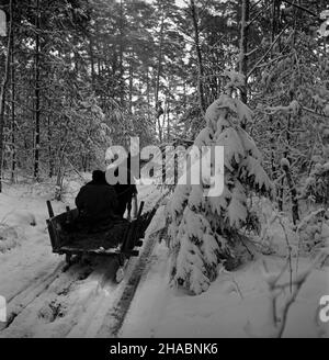 Polska, 1969-11.W Nadleœnictwie Kudypy (woj. Olsztyñskie) ju¿ W listopadzie gruboœæ pokrywy œnie¿nej dochodzi³a do 30 cm.NZ. Koñ zaprzê¿ony W sanie na drodze leœnej. uu PAP/Stanis³aw Moroz Dok³adny dzieñ wydarzenia nieustalony.Pologne, novembre 1969.La couverture de neige dans le district forestier de Kudypy (province d'Olsztyn) a déjà atteint 30 cm en novembre.Photo : traîneau à cheval. uu PAP/Stanislaw Moroz Banque D'Images