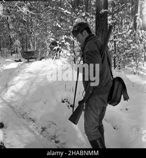 Polska, 1969-11.W nadleœnictwie Kudypy (woj.Olsztyñskie), gdzie ju¿ W listopadzie gruboœæ pokrywy œnie¿nej dochodzi³a do 30 cm, rozpoczêto wyk³adanie po¿ywienia dla zwierzyny p³owej.NZ.Leœniczy ze Starego Dworu Stanis³aw Homa. uu PAP/Stanis³aw Moroz Pologne, novembre 1969.La couverture de neige a atteint 30 cm dans le district forestier de Kudypy (province d'Olsztyn) déjà en novembre.Photo : alimentation des cerfs. uu PAP/Stanislaw Moroz Banque D'Images