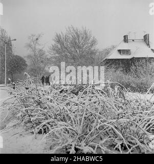 Olsztyn, 1969-11-05.Pierwszy œnieg W Olsztynie.NZ. Przysypana œniegiem ulica 22 Stycznia. mb PAP/Stanis³aw MorozOlsztyn, novembre 5.1969. Première neige à Olsztyn.Photo : couvert de neige 22, rue Stycznia. mb PAP/Stanis³aw Moroz Banque D'Images