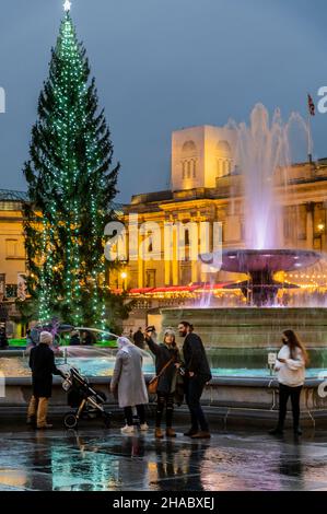Londres, Royaume-Uni.11th décembre 2021.L'arbre de Noël carré Trafalgar par temps humide.À l'extérieur de la Galerie nationale, les deux sont reflétés dans les pierres wert de la place.Crédit : Guy Bell/Alay Live News Banque D'Images