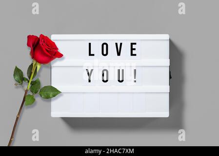 Vous aimez !Boîte lumineuse avec lettres et décoration de fleurs roses rouges.Concept de la Saint-Valentin Banque D'Images