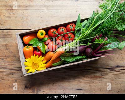légumes frais crus tomates cerises, poivrons, carottes, betteraves, okra se trouvent dans une ancienne boîte en bois Banque D'Images