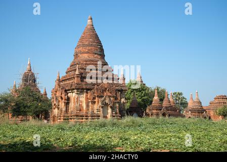 Un des nombreux complexes de temples bouddhistes anciens par temps ensoleillé.Old Bagan, Myanmar (Birmanie) Banque D'Images