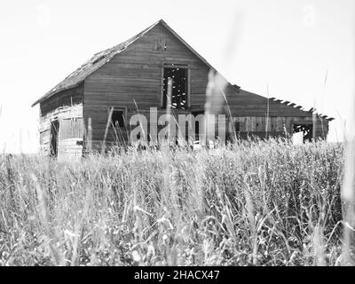 AIRDRIE, CANADA - 17 novembre 2021 : photo en échelle de gris d'une cabine en bois sur un terrain rural à Airdrie, Canada Banque D'Images