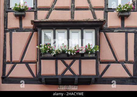 Plantes à fleurs poussant dans une boîte de fenêtre sur la maison à colombages Banque D'Images