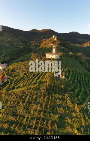 Vue aérienne des vignobles de Valdobbiadene, Vénétie, Italie Banque D'Images