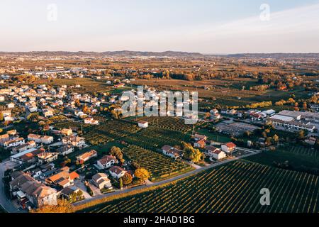 Vue aérienne des vignobles de Valdobbiadene, Vénétie, Italie Banque D'Images