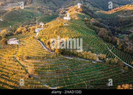 Vue aérienne des vignobles de Valdobbiadene, Vénétie, Italie Banque D'Images