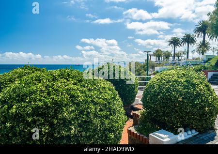 Jardin Piquio, un parc à Santander, en Espagne, à côté de la plage de Sardinero Banque D'Images