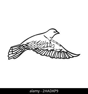 Magnifique colombe de style linéaire sur fond blanc.Vue latérale.Pour la conception et l'illustration.Illustration vectorielle. Illustration de Vecteur