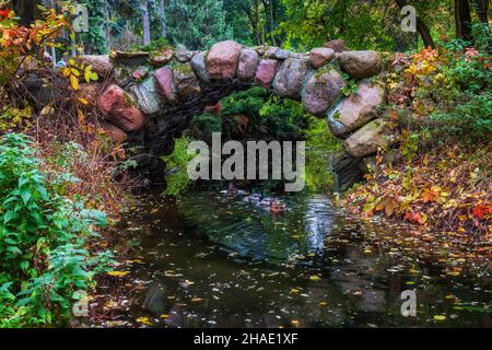 Paysage pittoresque avec pont en pierre d'arche sur le canal entre les étangs en automne Skaryszewski Park à Varsovie, Pologne. Banque D'Images