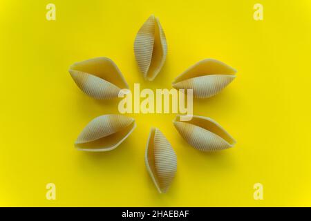 Grandes pâtes jaunes en forme de coquilles sur fond jaune. Banque D'Images