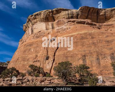 Canyon Walls, D4 Loop Trail, Fruita Front Country, McInnis Canyons National conservation Area près de Fruita, Colorado. Banque D'Images