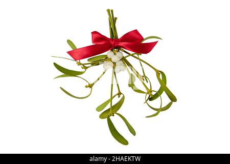 Bouquet de GUI avec baies blanches et feuilles vertes et noeud de satin rouge .Décoration de Noël isolée sur blanc. Banque D'Images